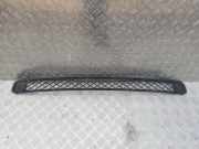 K?hlergrill - Vorne Center Toyota RAV-4, III 2005.11 - 2012.12 Gebraucht,