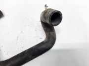 Kühlerschlauch Hyundai Trajet, 2000.03 - 2008.07 Gebraucht,