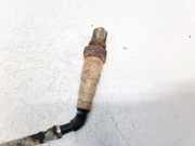 Lambdasonde -4 Drähte WEISS WEISS SCHWARZ GRAU Ford C-MAX, 2003.01 - 2007.06 Gebraucht,