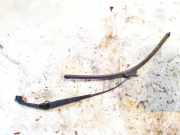 Windschutzscheibe Scheibenwischer Peugeot 4007 2007 - 2012 Gebraucht,