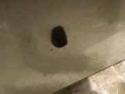 Waschwasserdüse Scheibenreinigung Mazda 6, 2002.06 - 2007.08 Gebraucht,