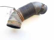 Schlauch für Luftversorgung Volkswagen Sharan, 7M 2000.04 - 2005.11 facelift 7m3129627c, ym216w633da AVYAUY