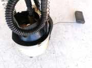 Kraftstoffpumpe Renault Scenic, I 1999.09 - 2003.06 facelift 7700429139,7700429139B