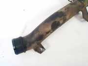 Schlauch für Luftversorgung Opel Vectra, C 2002.04 - 2005.10 24415010,