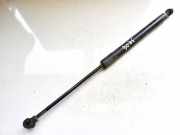 Gasdruckfeder Kofferraum Renault Zoe I 2012 - 2020.06 904502915r,