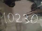 Schiebedach Glas Opel Zafira, B 2005.07 - 2008.01 Gebraucht,