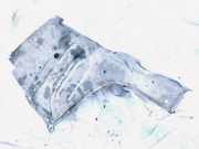 Motor-/Unterfahrschutz vorne Toyota Corolla, 2001.11 - 2004.02 5144202110,51442-02110 5144202120 514420215 5142002020