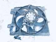 Kühlerlüfter Lüftermotor Peugeot 207, 2006.02 - 2009.06 9653804080, 5020448