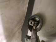 Türfangband Türbremse Türstopper - Hinten Linke BMW X3 E83, 2003.01 - 2010.06 Gebraucht,