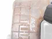 Ausgleichsbehälter Renault Scenic, II 2003.06 - 2006.06 8200262036,