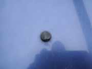 Waschwasserdüse Scheibenreinigung Opel Vectra, B 1995.09 - 2000.09 Gebraucht ,