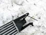 Ladeluftkühler Fiat Punto, 2005.10 - 2012.03 866452100, 866452000