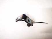 T?rscharnier Vorne Audi A6, C5 2001.08 - 2005.01 facelift Gebraucht,