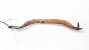 Lagerbock rachsträger - Vorne Linke Citroen C4 Grand Picasso, I 2006.01 - 2013.06 Gebraucht,