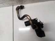 Intercooler Schlauch Ford Transit, III 2006.04 - 2012.12 facelift 6C1Q9E470AD,6C1Q-9E470-AD 6C1Q9E470AD