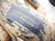 Tankeinfüllstutzen Tankrohr Kraftstoffrohr Renault Scenic, II 2003.06 - 2006.06 8200170232,