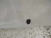 Waschwasserdüse Scheibenreinigung Ford Focus, 2002.10 - 2005.01 facelift Gebraucht,