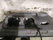 T?rverkleidung - Vorne Rechts Renault Scenic, II 2003.06 - 2006.06 Gebraucht,