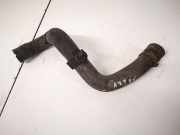 Kühlerschlauch Opel Vectra, C 2002.04 - 2005.10 13119222,