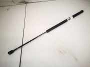 Gasdruckfeder Kofferraum Ford C-MAX, 2003.01 - 2007.06 Gebraucht,