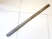 Zierleiste T?r Zier-Schutzleiste - Vorne Linke Audi A8, D3 2002.09 - 2005.6 Gebraucht,