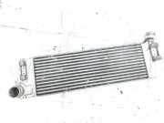 Ladeluftkühler Renault Scenic, II 2003.06 - 2006.06 Gebraucht,