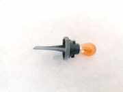 Glühbirnenfassung Blinker Renault Grand Scenic, I 2003.01 - 2009.12 Gebraucht,