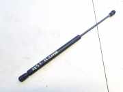 Gasdruckfeder Kofferraum Fiat Bravo, 1995.10 - 2001.10 Gebraucht,