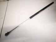 Gasfeder für Motorhaube Lexus IS, II 2005.10 - 2013.03 Gebraucht,