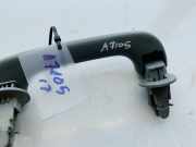 Haltegriff Haltegriff Verdeckgriff - Vorne Rechts Renault Scenic, I 1999.09 - 2003.06 facelift 1020007,