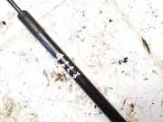 Gasfeder für Motorhaube Opel Insignia A, 2008.01 - 2013.01 13252173, 315005777