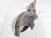 Radhausschale - Vorne Linke Peugeot 206, 2002.07 - 2009.01 facelift Gebraucht,