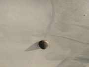 Waschwasserdüse Scheibenreinigung Opel Vectra, B 1995.09 - 2000.09 Gebraucht,