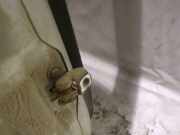 T?rfangband T?rbremse T?rstopper - Hinten Rechts Opel Astra, G 1998.09 - 2004.12 Gebraucht,