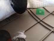 Innenausstattung Kia Optima 2011 - 2015 858102t000,85810-2t000