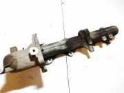 Ansaugkrümmer Nissan Qashqai, I 2006.01 - 2010.06 Gebraucht,