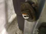 Türfangband Türbremse Türstopper - Vorne Linke Renault Espace, IV 2002.11 - 2014.12 Gebraucht,