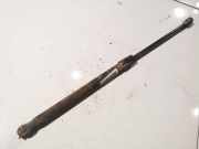 Gasdruckfeder Kofferraum Skoda Octavia, II 2004.02 - 2009.03 Gebraucht,