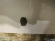 Waschwasserdüse Scheibenreinigung Toyota Corolla, 2001.11 - 2004.02 Gebraucht,