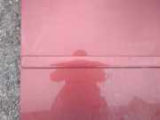 Zierleiste Tür Zier-Schutzleiste - Vorne Rechts Ford C-MAX, 2003.01 - 2007.06 Gebraucht ,