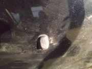 Waschwasserdüse Scheibenreinigung Ford Mondeo, 2007.03 - 2013.06 Gebraucht,