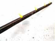 Zierleiste Leiste - Hinten Linke Hyundai Trajet, 2000.03 - 2008.07 Gebraucht,