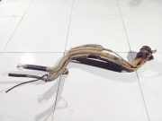 Tankeinfüllstutzen Tankrohr Kraftstoffrohr Volkswagen Sharan, 7M 2000.04 - 2005.11 facelift Gebraucht, AUY