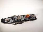Lampenträger Heckleuchte - Hinten Renault Scenic, II 2003.06 - 2006.06 Gebraucht,