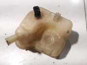 Ausgleichsbeh?lter Opel Insignia A, 2008.01 - 2013.01 13220124,13220124 13220123