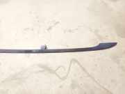 Dachreling Rechts Volkswagen Passat, B6 2005.08 - 2010.11 Gebraucht, BL1H