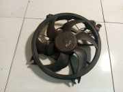 Kühlerlüfter Lüftermotor Citroen C5, II 2008.02 - 2011.01 Gebraucht,