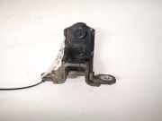 Türscharnier Hinten Renault Laguna, II 2001.03 - 2006.05 Gebraucht,