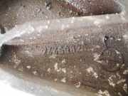 Motorhalterung und Getriebe (Motorhalterung) Opel Astra, H 2004.03 - 2009.12 24459826,