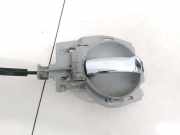 Türinnengriff - Hinten Linke Citroen C3, I 2002.02 - 2005.06 9647164577,9647164677